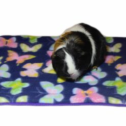 Butterfly Cuddle Mat Guinea pig