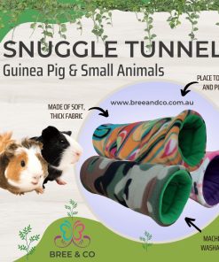Guinea pig Tunnels