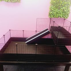 2X4 Guinea Pig C&C Cage with Loft & Ramp