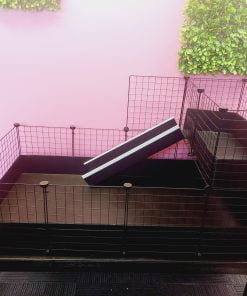 2X4 Guinea Pig C&C Cage with Loft & Ramp