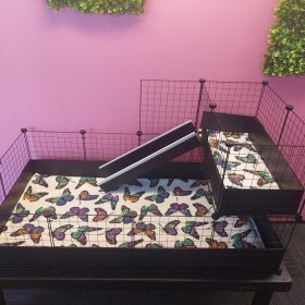 2X4 Guinea Pig C&C Cage & Liner Combo with Loft