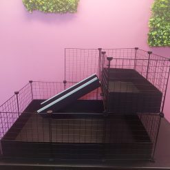 2X3 Guinea Pig C&C Cage with Narrow Loft & Ramp