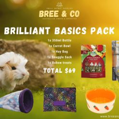 Guinea Pig Brilliant Basics Pack