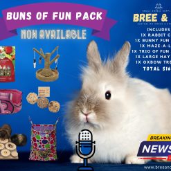 Buns Of Fun Rabbit Toy Pack