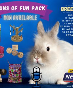 Buns Of Fun Rabbit Toy Pack