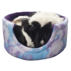 Purple Tie Dye with guinea pigs– Guinea Pig & Small Animals