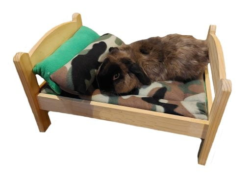 army wooden bed with rabbit scaled 2