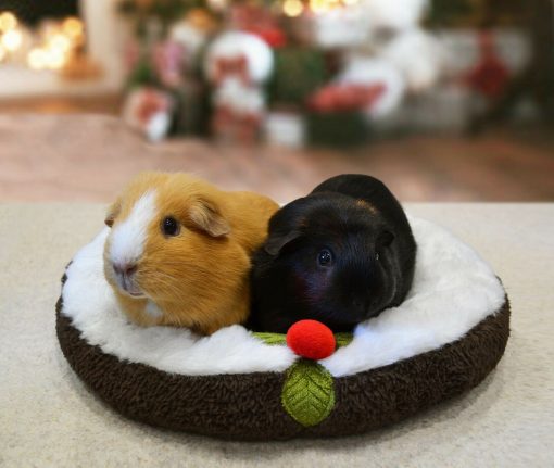 christmas pudding snuggle bed 2