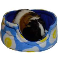 Snuggle Cup gionea pig