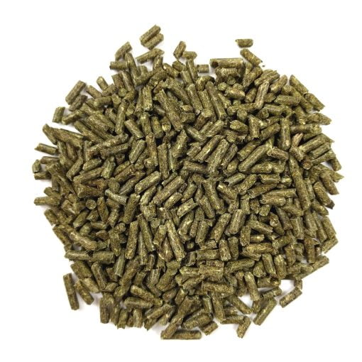 essentials young guinea pig pellets scaled 1