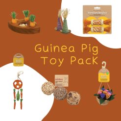 Guinea Pig Toy Pack