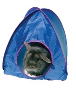 Rosewood Large Pop Up Tent
