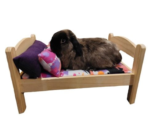 neon splat wooden bed with rabbit scaled 2