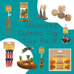 Ultimate Guinea Pig Toy Pack