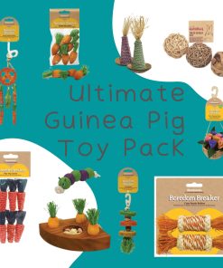 Ultimate Guinea Pig Toy Pack