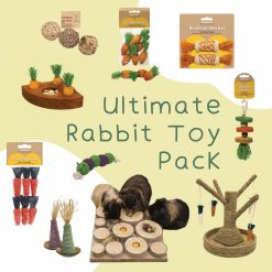 Ultimate Rabbit Toy Pack