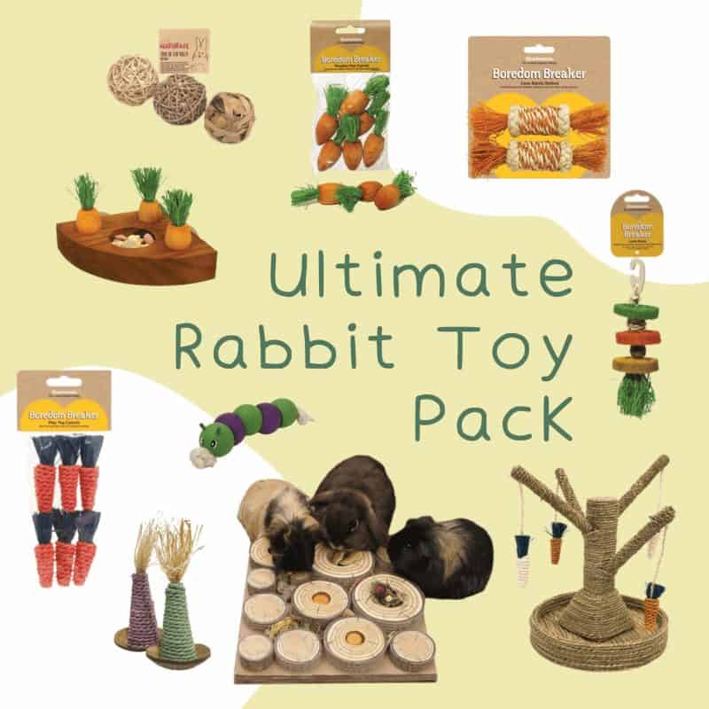 Ultimate Rabbit Toy Pack Bree & Co