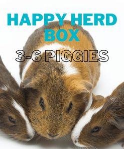happy herd box