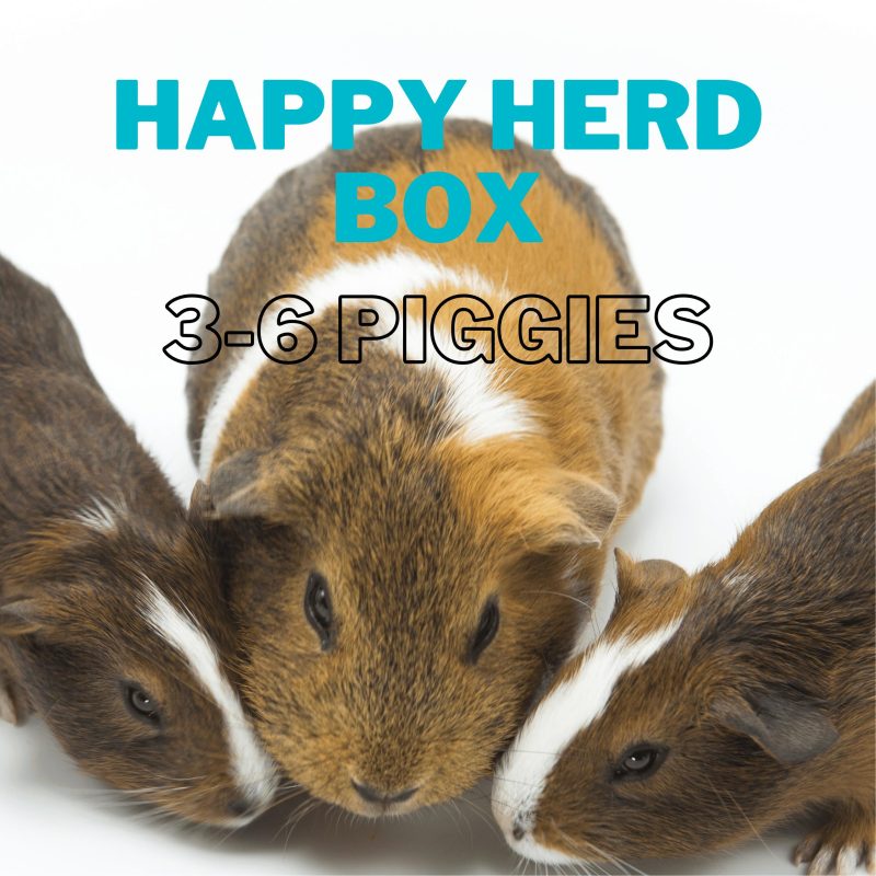 happy herd box