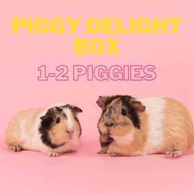 Piggy Delight Box: 1-2 Piggies