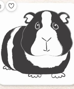 Black and white guinea pig coaster
