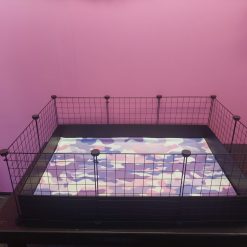 2X3 Guinea Pig C&C Cage & Liner Combo