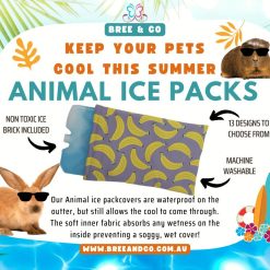 ANIMAL ICE PACKS