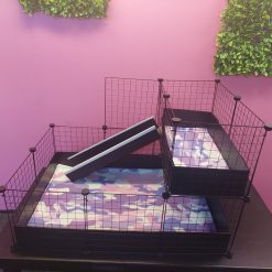 2X3 Guinea Pig C&C Cage & Liner Combo with Loft