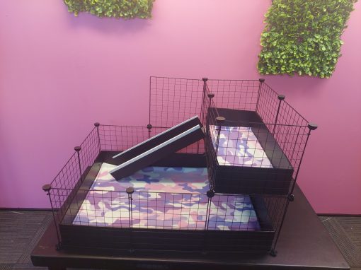 2X3 Guinea Pig C&C Cage & Liner Combo with Loft