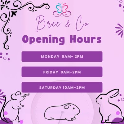 Bree & Co Opening hours