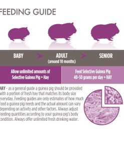 Feeding Guide Guinea Pig 1