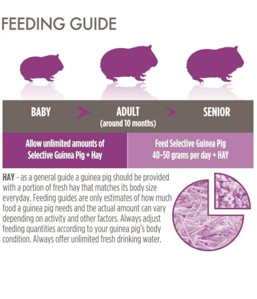 Feeding Guide Guinea Pig 1