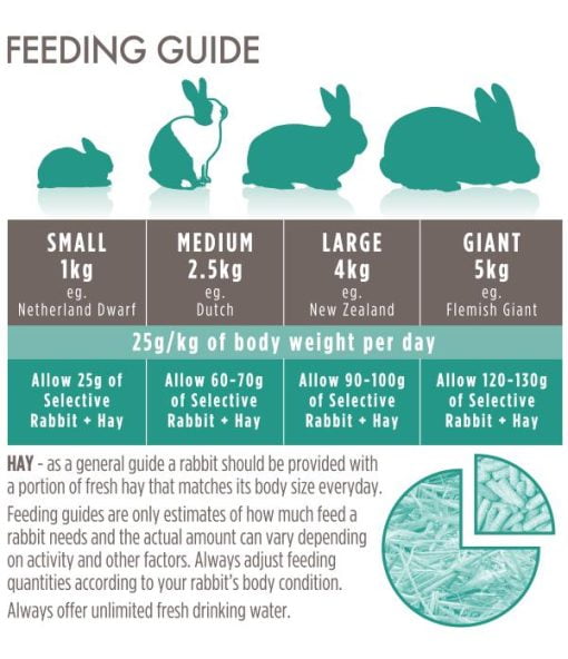 Rabbit Adult Feeding Guide 1