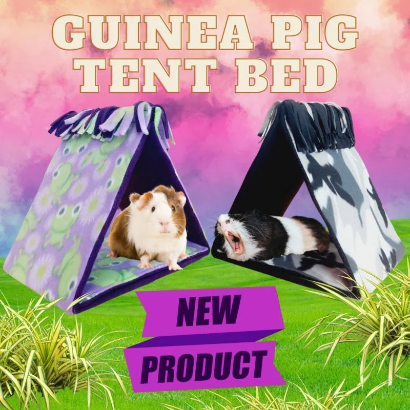 Guinea Pig Tent Bed - Double