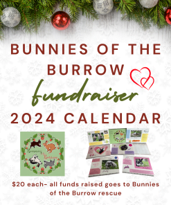Bunnies of The Burrow 2024 Wall Calendar