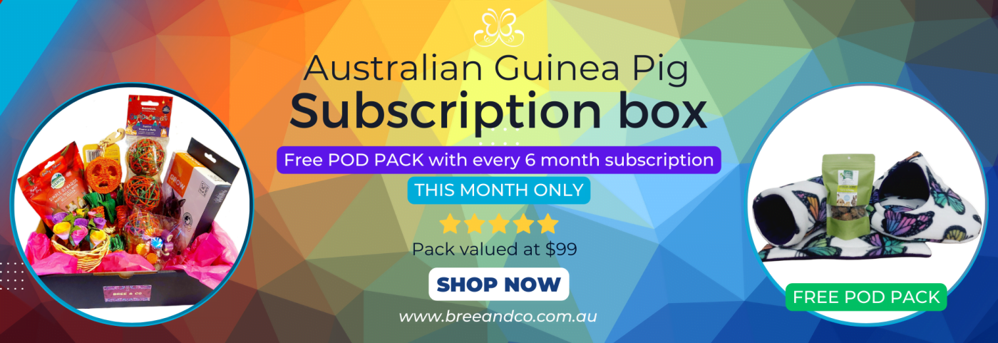 6 month subscription box & pod pack - Banner