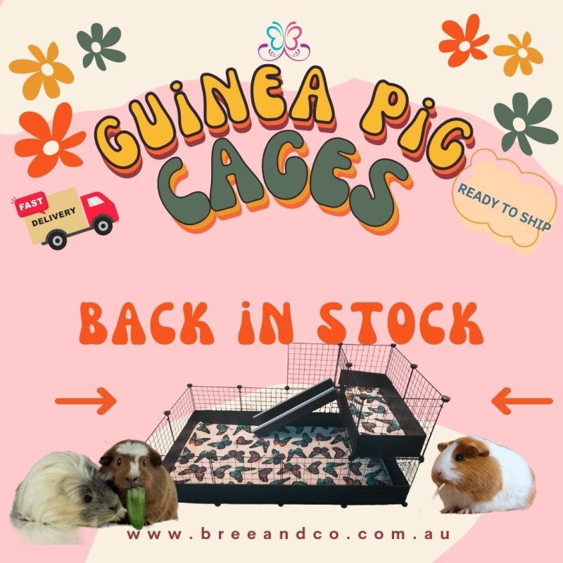 Guinea pig cage - back in stock