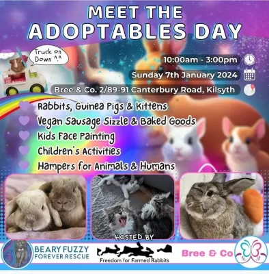 Meet the Adoptables Day