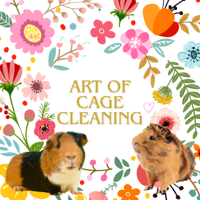cage cleaning